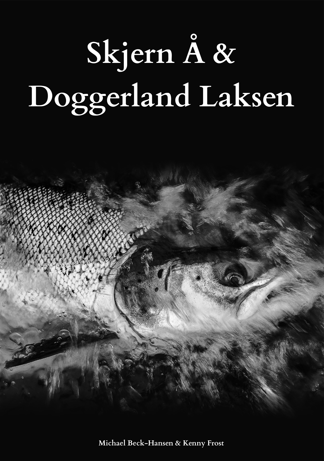 Doggerland Laksen Forside